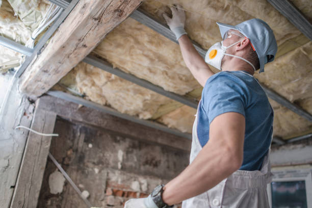Trusted Braddock Hills, PA Insulation Contractor Experts