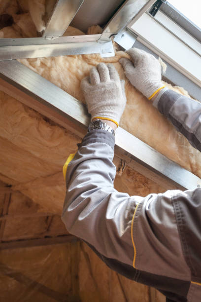 Best Home Insulation Services  in Braddock Hills, PA