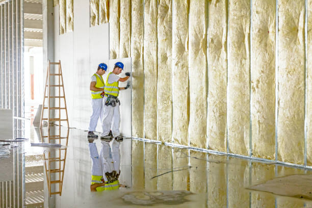 Best Cellulose Insulation  in Braddock Hills, PA